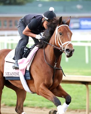 Meaning - Dazzling Dame - Gallop - Churchill Downs - 042726