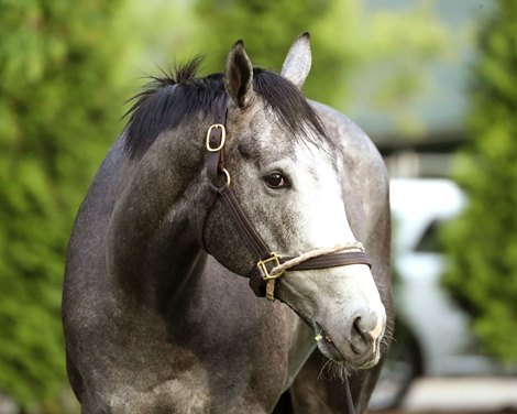 Great White - Graze - Churchill Downs - 042726