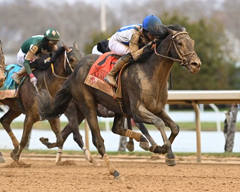 Albus wins the 2026 Wood Memorial Stakes at Aqueduct Racetrack