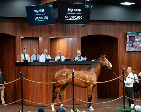 The Flightline colt, now named Zedan, in the ring at the OBS Spring Sale