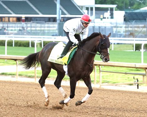 Chief Wallabee - Work - Churchill Downs - 042026