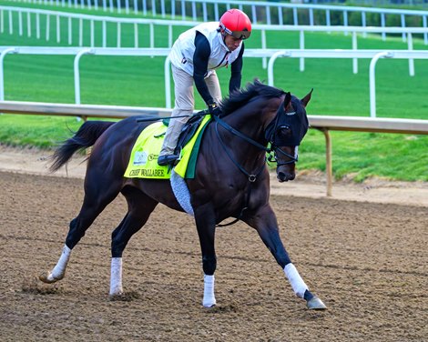 Chief Wallabee at Churchill Downs on April 26, 2026.