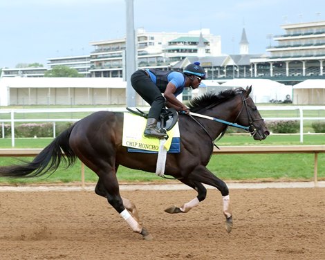 Chip Honcho - Gallop - Churchill Downs - 041626