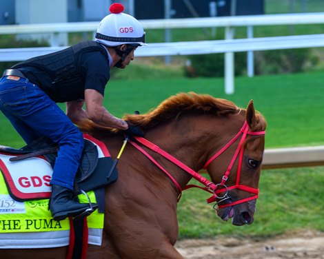 The Puma Training at Churchill Downs on April 26, 2026.