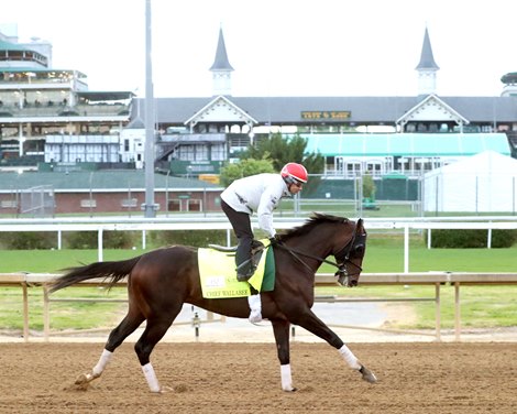 Chief Wallabee - Work - Churchill Downs - 042026