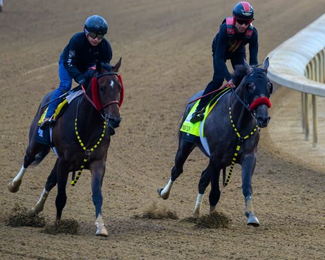 Pavolvian (right) with work mate. Training at Churchill Downs on April 26, 2026.