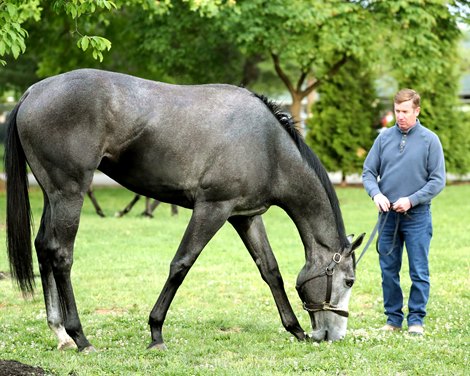 Great White - Graze - Churchill Downs - 042726