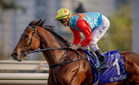 KA YING RISING ridden by Zac Purton wins the THE QUEEN'S SILVER JUBILEE CUP at Sha Tin Racecourse in Sha Tin, Hong Kong on February 22, 2026. Photo by: Alex Evers / HKJC