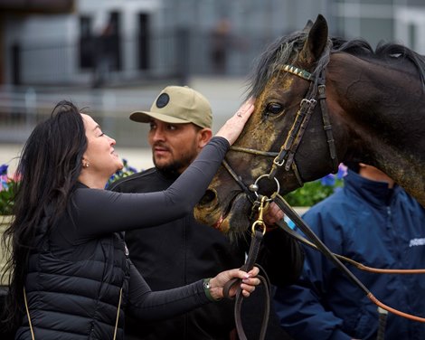 Albus wins the Wood Memorial Stakes on Saturday, April 4, 2026 at Aqueduct Racetrack