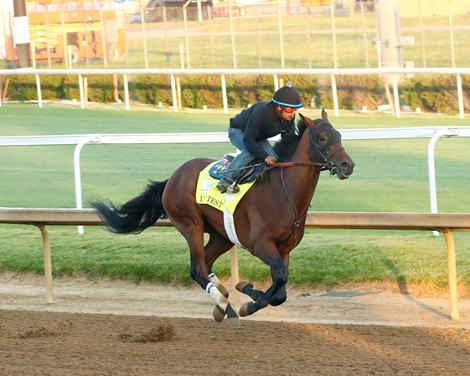 Litmus Test - Breeze - Churchill Downs - 04-23-26