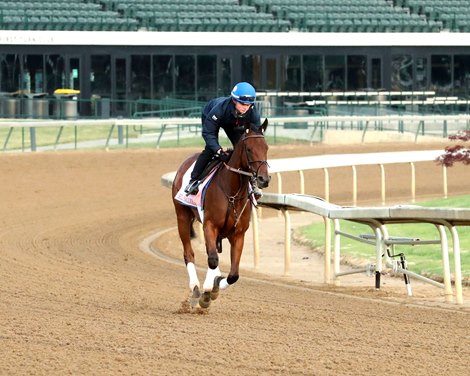 Bella Ballerina - Gallop - Churchill Downs - 042726