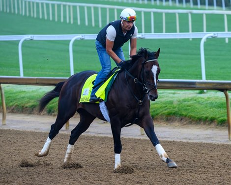 Chief Wallabee Training at Churchill Downs on April 24, 2026.