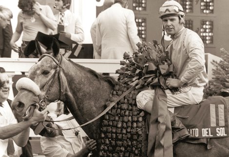 Gato del Sol, Eddie Dellahoussaye up after winning 1982 Kentucky Derby