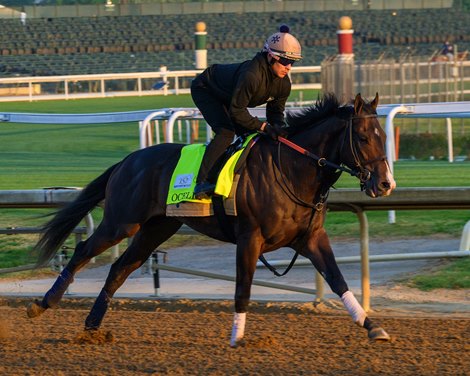 Ocelli Training at Churchill Downs on April 23, 2026.