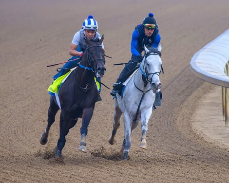 Chip Honcho (outside) with workmate Training at Churchill Downs on April 24, 2026.