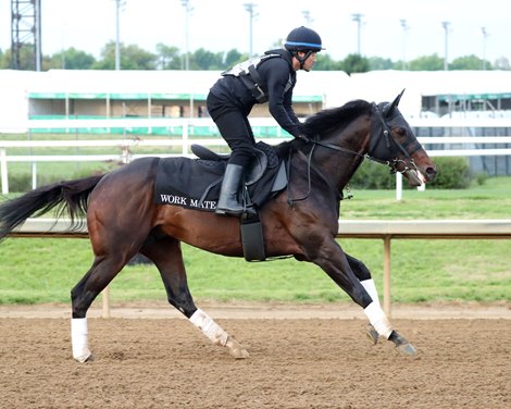 T O Elvis - Gallop - Churchill Downs - 042726