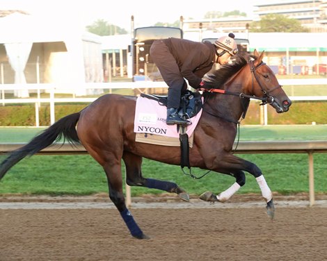 Nycon - Gallop - Churchill Downs - 04-23-26