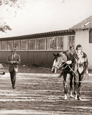 Coastal, David Whiteley (Left), Paddock