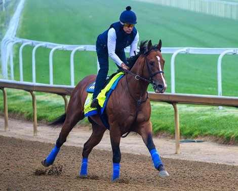 Potente training at Churchill Downs