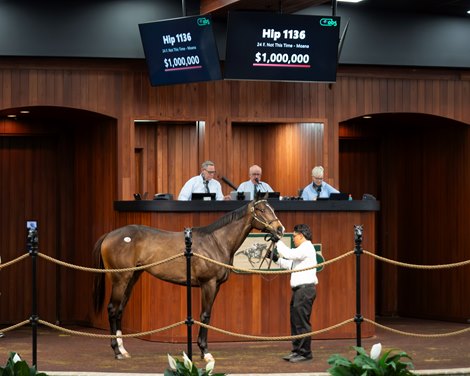 The Not This Time filly consigned as Hip 1136 in the ring at the OBS Spring Sale