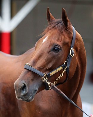 Zany - Morning - CD - 042826