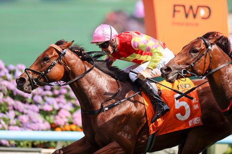 My Wish, trained by Mark Newnham and ridden by Hugh Bowman, lands his first Group 1 success, winning the FWD Champions Mile (1600m) at Sha Tin Racecourse today (Sunday, 26 April)