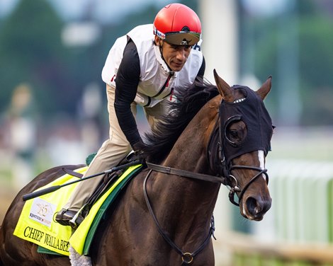 Chief Wallabee at Churchill Downs, Louisville, KY, on April 26th, 2026