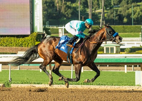 Cherokee Nation, Maiden win, Santa Anita Park, February 27 2026