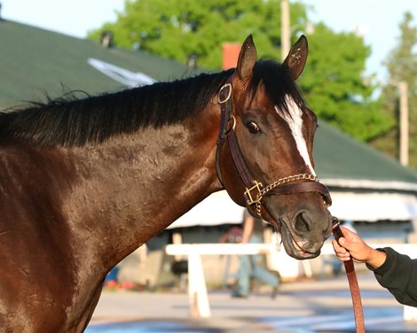 Chief Wallabee - Gallop - Bath - Churchill Downs - 041726