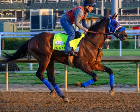So Happy<br>
Training at Churchill Downs on April 23, 2026.