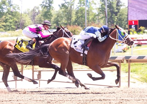 Big Cuddle wins the 2026 Sir Barton Stakes at Laurel Park