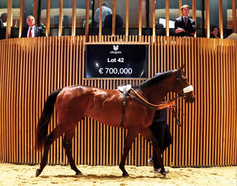 2026 Arqana Breeze Up Sale; Lot 42