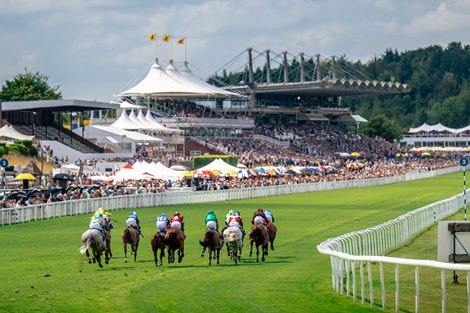 Racing at Goodwood Racecourse