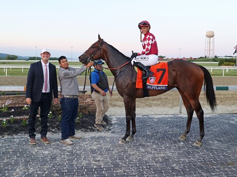 Alpyland #7 with Javier Castellano riding won the $400,000 Penn Mile at Penn National Racecourse on Friday May 29, 2026.  Photo By Bill Denver/EQUI-PHOTO.