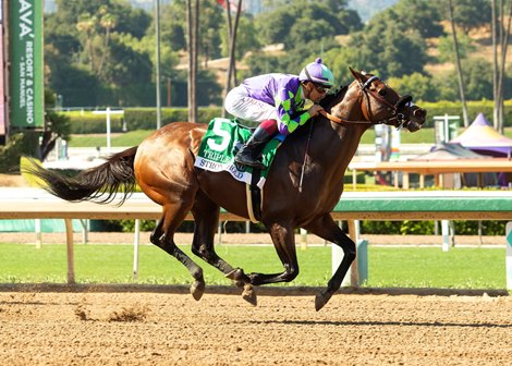 Stronghold and jockey Antonio Fresu win the Grade III, $100,000 Triple Bend takes, Sunday, May 31, 2026 at Santa Anita Park, Arcadia CA. © BENOIT PHOTO