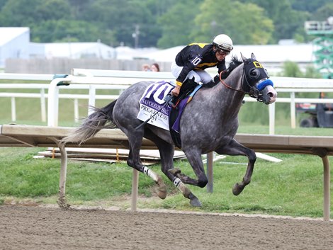Napoleon Solo #10 with Paco Lopez riding won the $2,000,000 Grade I Preakness Stakes at Laurel Racecourse on Saturday May 16, 2026. Photo By Bill Denver/EQUI-PHOTO