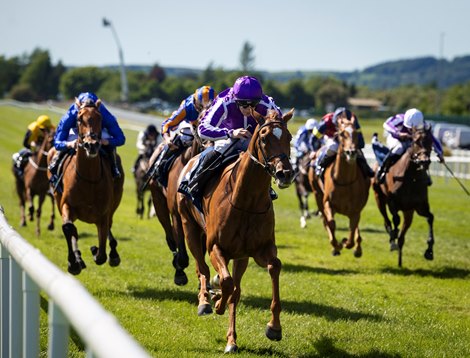 Precise and Wayne Lordan wins the Irish 1,000 Guineas. The Curragh. Photo: Patrick McCann/Racing Post<br>
24.05.2026