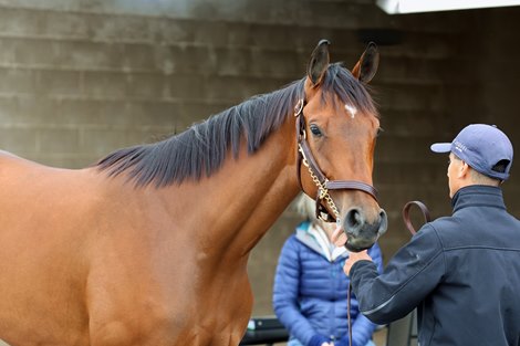 Hip 357, Buyer Pedro Lanz, consignor, Becky Thomas, 2026 Fasig-Tipton Midlantic Two-Year-Olds in Training Sale, Timonium Maryland.