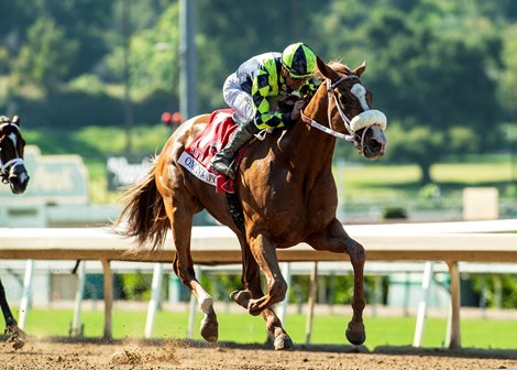 Om N Joy and jockey Kent Desormeaux win the Grade II, $200,000 Santa Margarita Stakes, Saturday, May 30, 2026 at Santa Anita Park, Arcadia CA. © BENOIT PHOTO