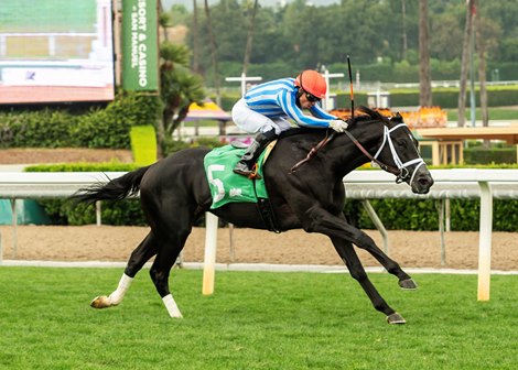 Pegram and Pegram’s Bust Out and jockey Emisael Jaramillo win the $100,000 Cinema Stakes Sunday, May 17, 2026 at Santa Anita Park, Arcadia, CA. Benoit Photo