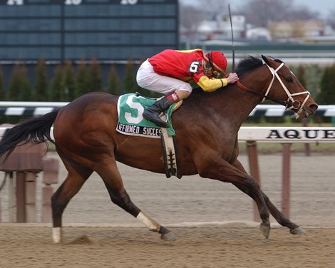 Affirmed Success wins the 2002 Toboggan Handicap at Aqueduct Racetrack