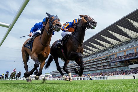 Scandinavia (Ryan Moore) beats Trawlerman (William Buick) in The Gold Cup<br>
Ascot 18.6.26 Pic: Edward Whitaker Scandinavia (Ryan Moore) beats Trawlerman (William Buick) in The Gold Cup<br>
Ascot 18.6.26 Pic: Edward Whitaker