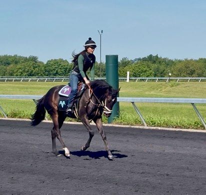 Corie Anderson galloping Psalm One Eighteen