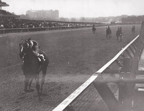 Autobiography wins the 1972 Jockey Club Gold Cup at Aqueduct Racetrack
