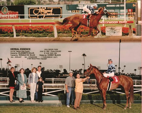 Herbal Essence winning at Hollywood Park_June 12, 1997<br>
Elizabeth Talamo is the young child.