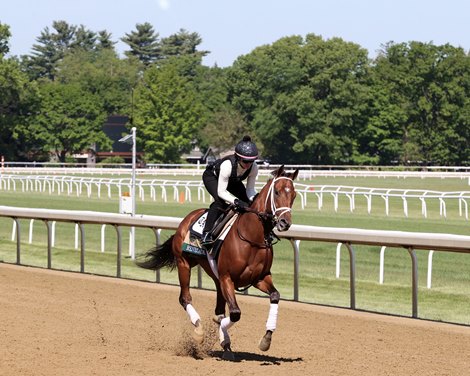 Renegade, June 2 2026, Saratoga Race Course
