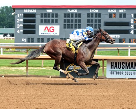 Kilwin wins the 2026 Twin Bridges Stakes at Ellis Park