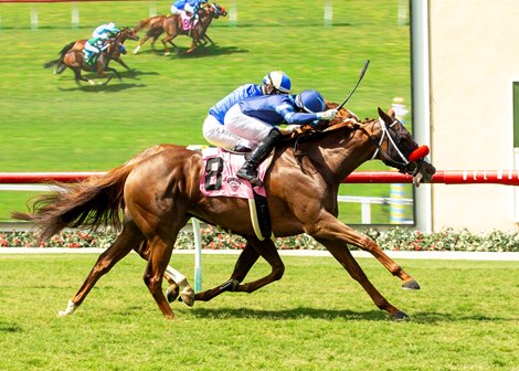 Baltic Fire and jockey Kyle Frey, outside, outgame Public Assembly (Umberto Rispoli up) to win the $100,000 Osunitas Stakes Saturday, July 25, 2026 at Del Mar Thoroughbred Club, Del Mar, CA. Benoit Photo