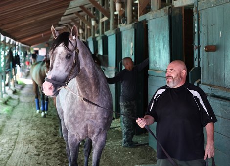 Preakness Stakes Champion Napoleon Solo arrives at Monmouth Park with groom Islas Gonzalez on Sunday July 12th in preparation for the $1,000,000 Grade 1 Haskell Stakes at Monmouth Park on Saturday July 18, 2026. Photo By Bill Denver/EQUI-PHOTO.