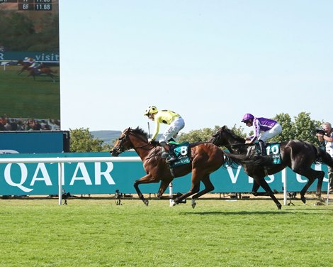 Bow Echo wins the 2026 Sussex Stakes at Goodwood